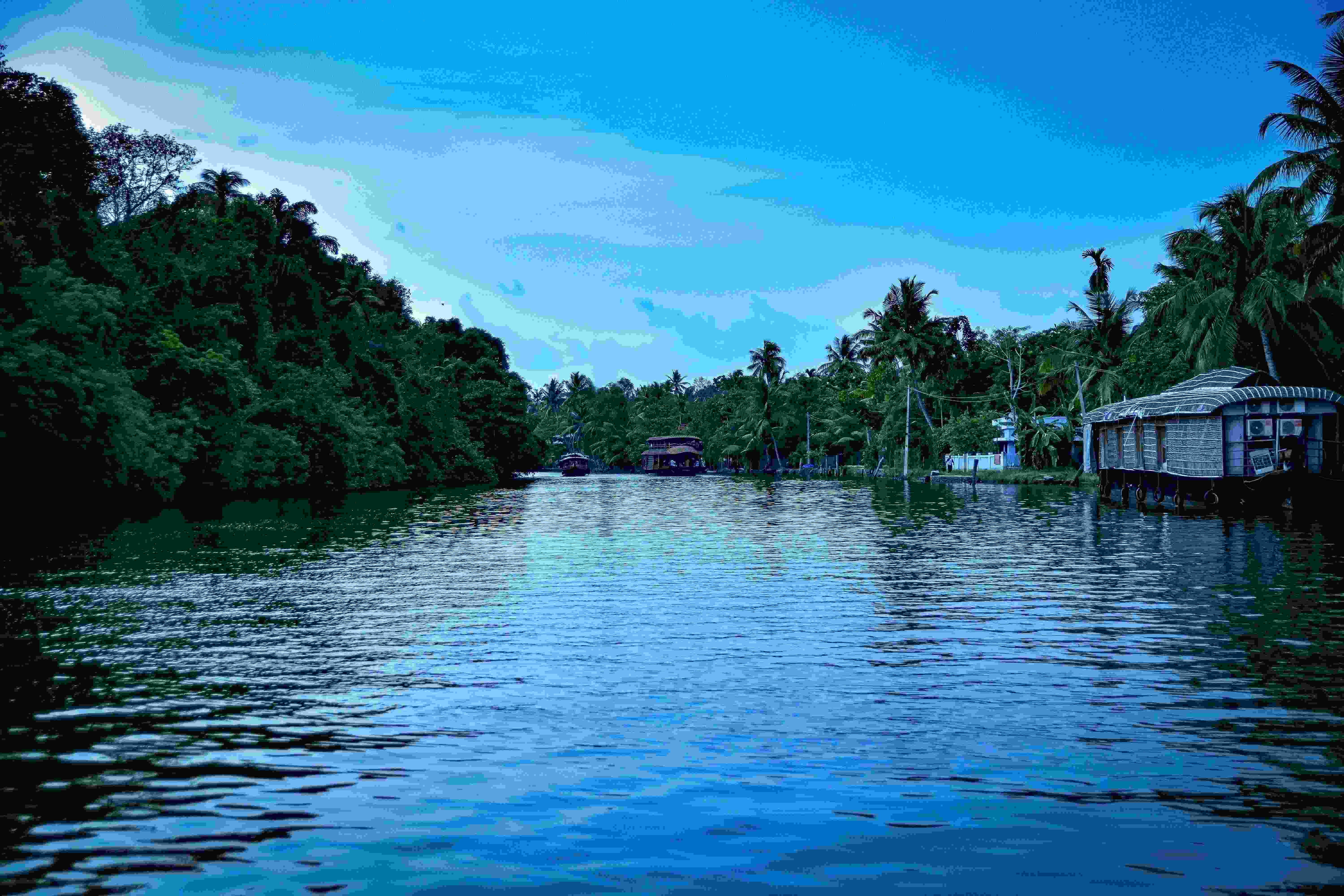 Backwater Ripples Kumarakom